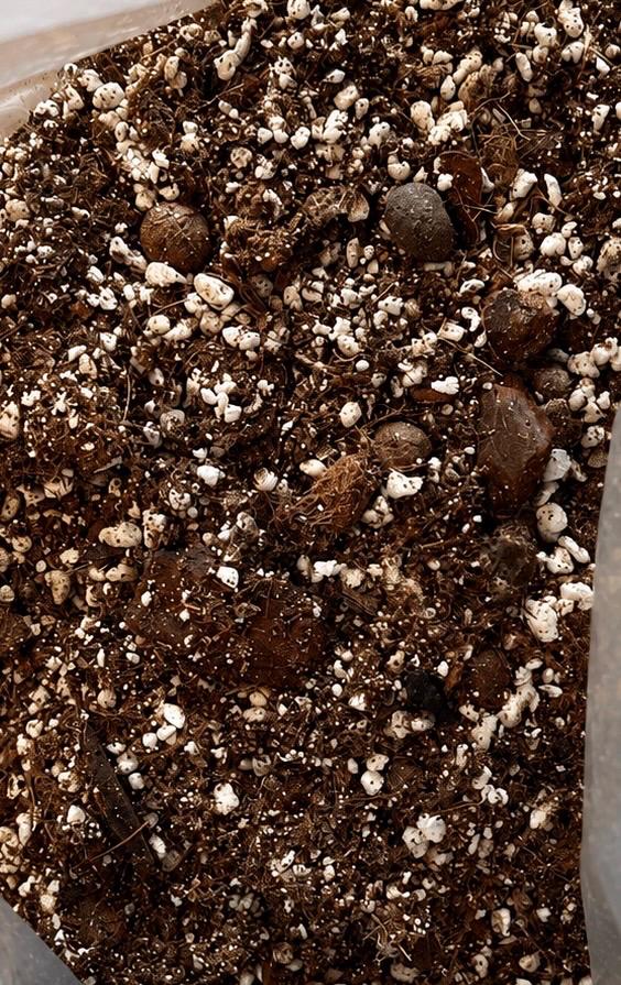 Happy Roots Chunky Blend Potting Mix Premium Homemade Soil for Houseplants Fast-Draining Tropical Plant