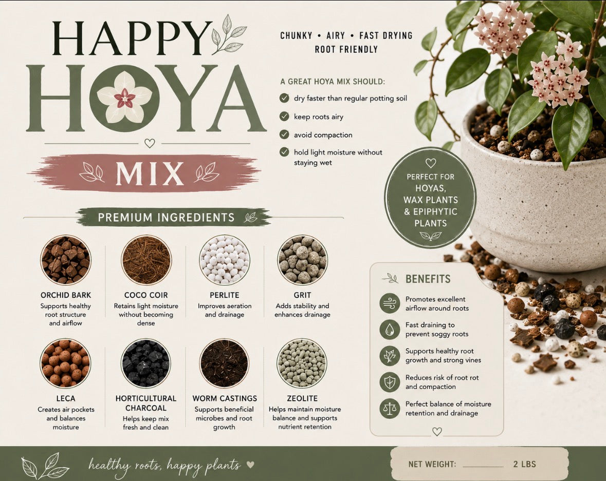 Happy Hoya Mix | Chunky Fast-Draining Soil for Hoyas & Wax Plants | Airy Orchid Bark Potting Mix | 2LB Bag 1.3 Quarts