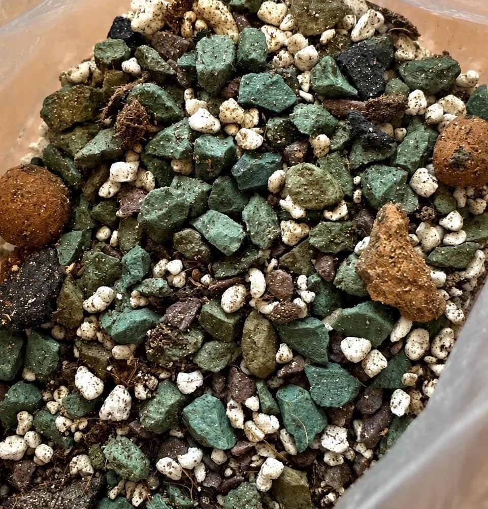 Happy Roots Succulent Blend Potting Mix | Premium Homemade Soil for cactus Fast-Draining Soil 1.5 Quart