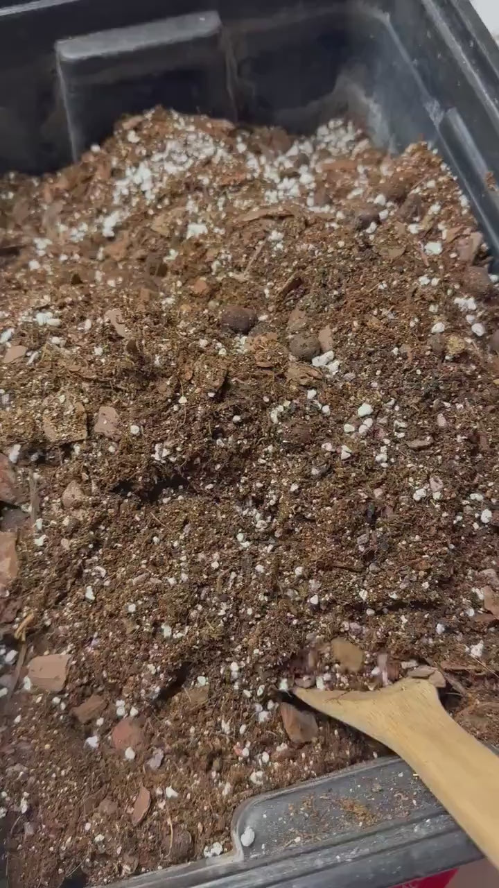 Happy Roots Chunky Blend Potting Mix Premium Homemade Soil for Houseplants Fast-Draining Tropical Plant